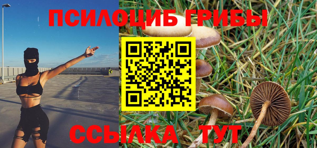 Галлюциногенные грибы GOLDEN TEACHER Калининград