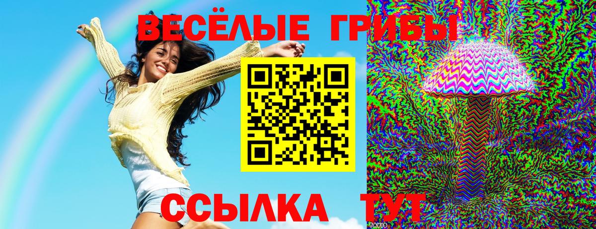 Псилоцибиновые грибы Калининград